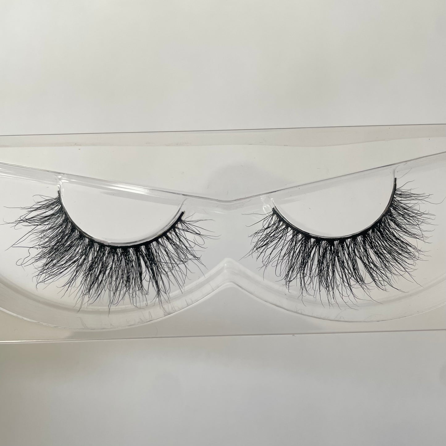 Lash - Lola